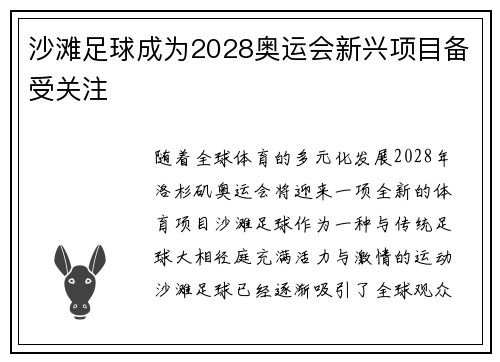 沙滩足球成为2028奥运会新兴项目备受关注